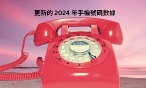 更新的 2024 年手機號碼數據