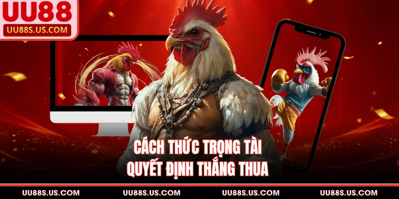 Cá Độ Đá Gà Ăn Tiền - Phân Tích Chi Tiết Cho Thành Viên 3 Cách thức trọng tài quyết định thắng thua