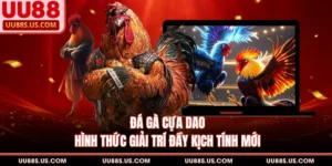 Đá Gà Cựa Dao - Hình Thức Giải Trí Đầy Kịch Tính Mới