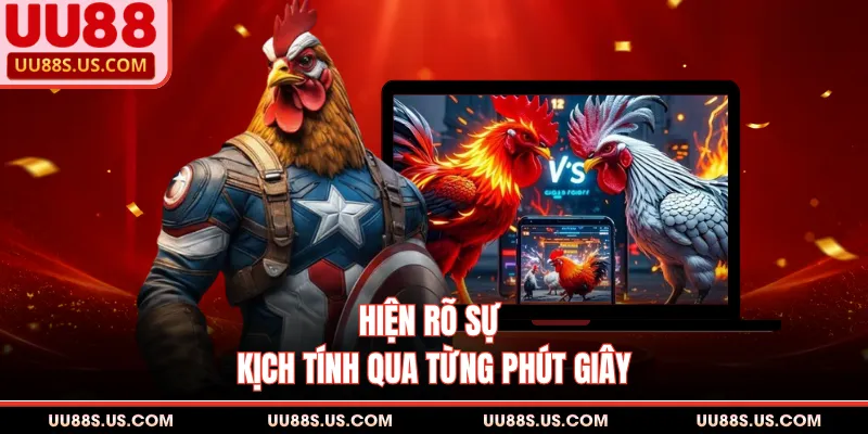 Đá Gà Cựa Dao - Hình Thức Giải Trí Đầy Kịch Tính Mới 2 Hiện rõ sự kịch tính qua từng phút giây