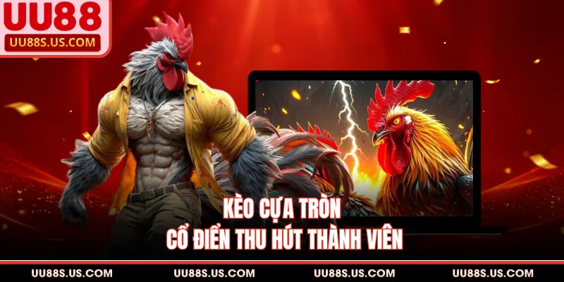 Kèo cựa tròn cổ điển thu hút thành viên