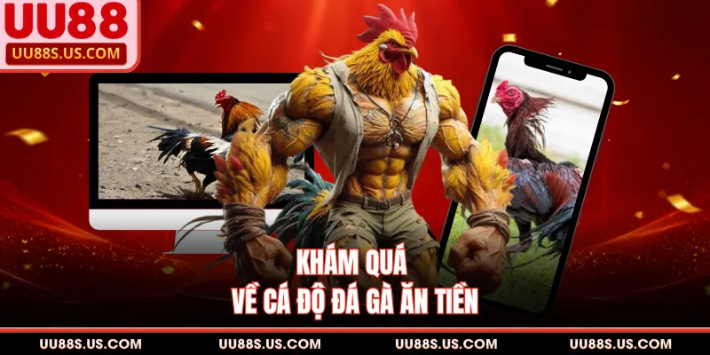 Cá Độ Đá Gà Ăn Tiền - Phân Tích Chi Tiết Cho Thành Viên 1 Khám quá về cá độ đá gà ăn tiền