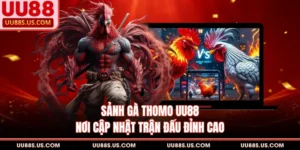 Sảnh Gà Thomo UU88 - Nơi Cập Nhật Trận Đấu Đỉnh Cao