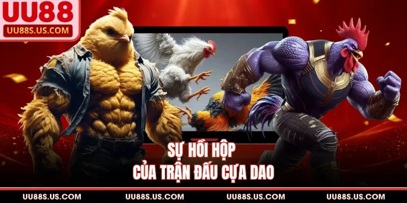 Cá Độ Đá Gà Ăn Tiền - Phân Tích Chi Tiết Cho Thành Viên 2 Sự hồi hộp của trận đấu cựa dao