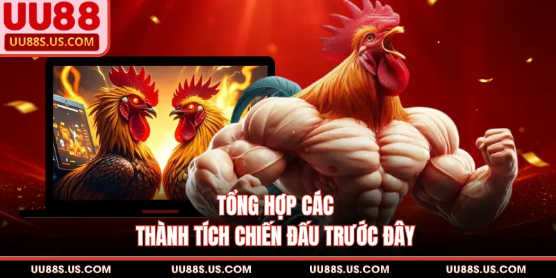 Đá Gà Đòn - Nét Đẹp Văn Hóa Thể Thao Dân Gian Đặc Sắc 3 Tổng hợp các thành tích chiến đấu trước đây