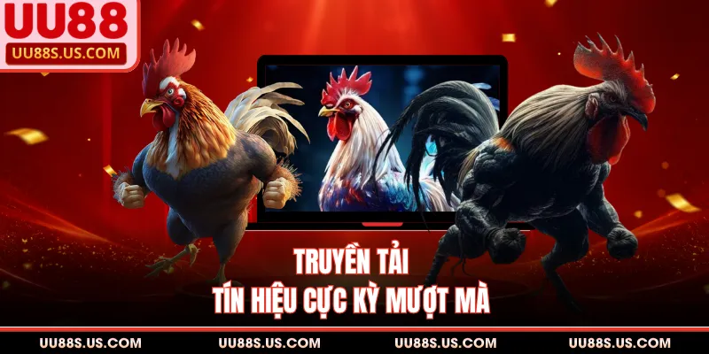 Truyền tải tín hiệu cực kỳ mượt mà